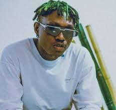 Zlatan Ibile net worth