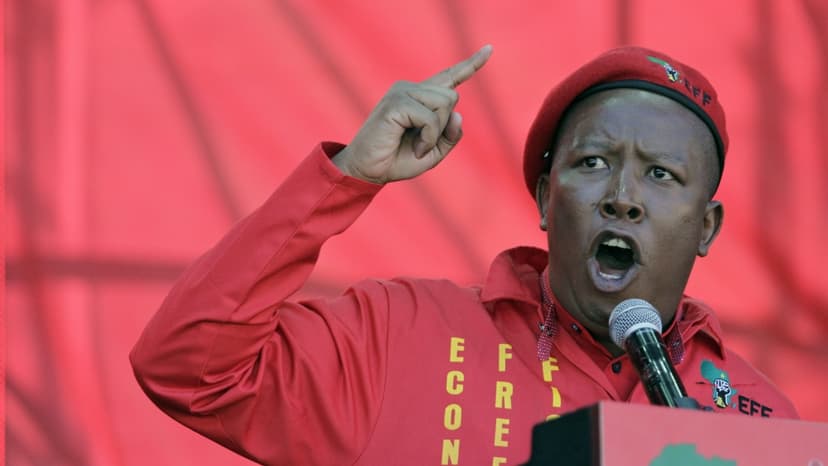 Julius Malema net worth