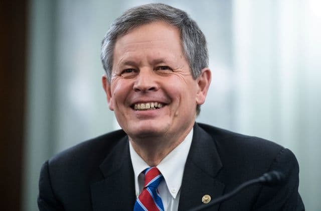 Steve Daines net worth