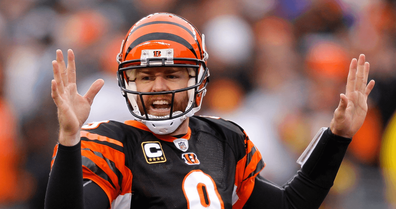 Carson Palmer Net Worth