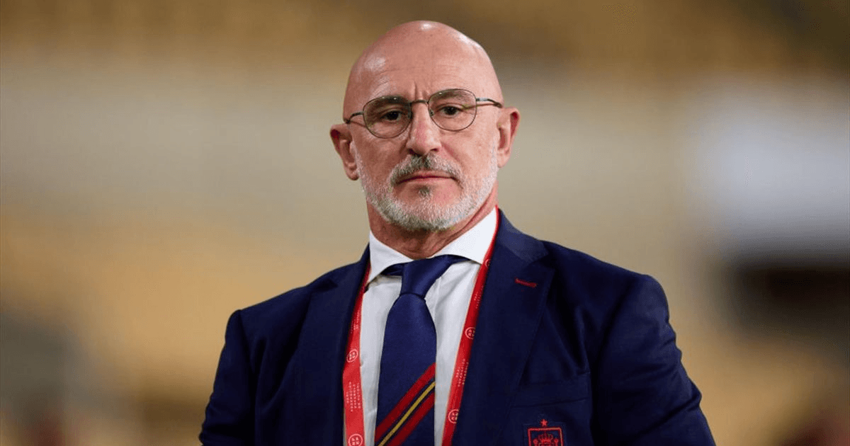 Luis de la Fuente Net Worth