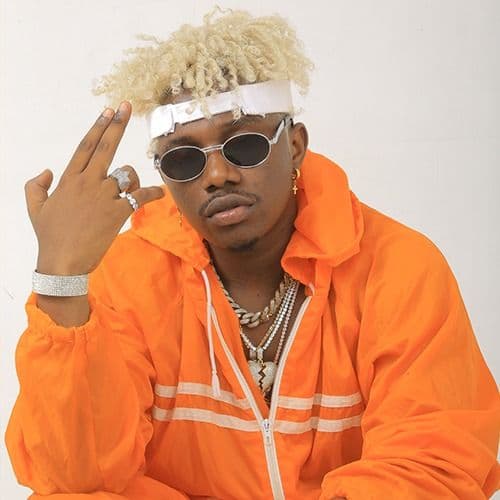 Rayvanny net worth