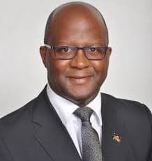 Atupele Muluzi net worth