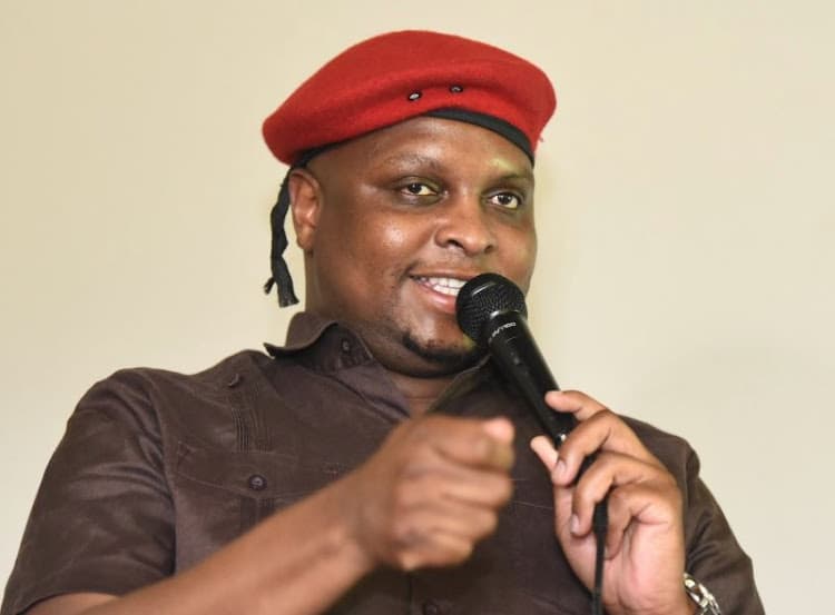 Floyd Shivambu Net Worth