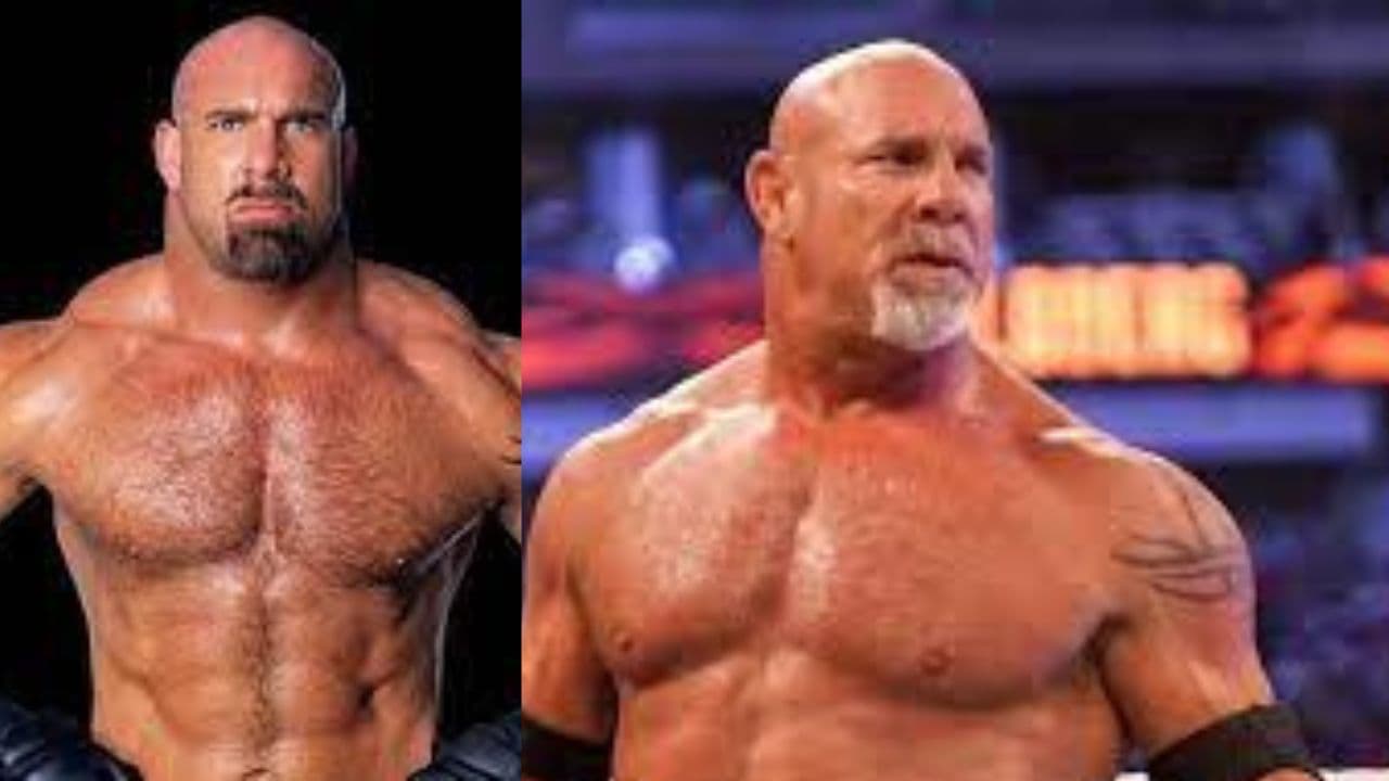 Bill Goldberg net worth