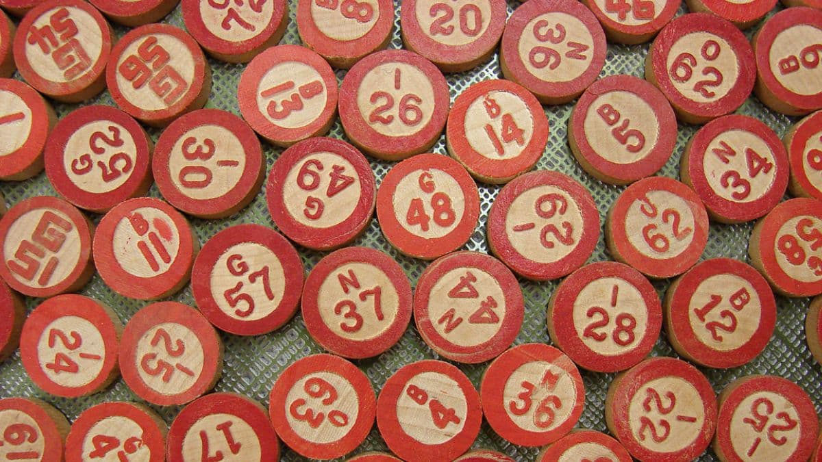 Bingo