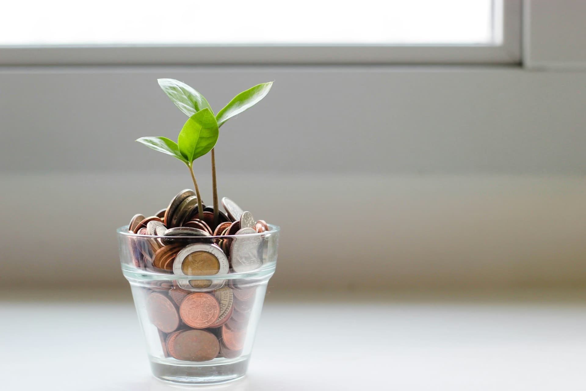 Top Side Hustles That Can Turn Into Full-Time Startups
