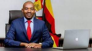 Nelson Chamisa net worth