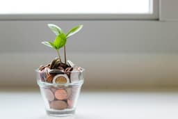 Top Side Hustles That Can Skyrocket Into Full-Time Startups
