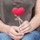 The Pursuit of Love