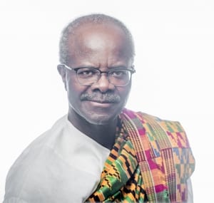 Dr. Paa Kwesi Nduom companies