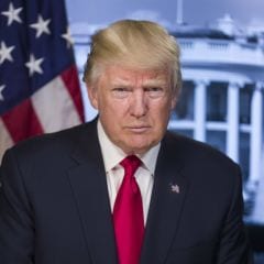 Donald Trump Quotes