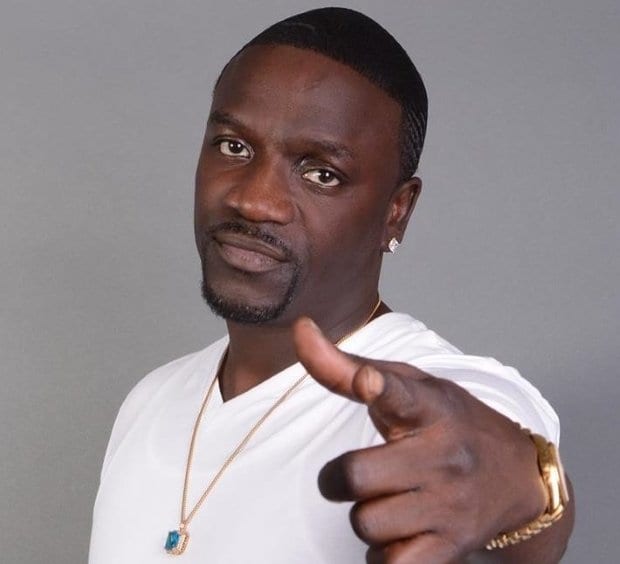 Akon net worth 2021