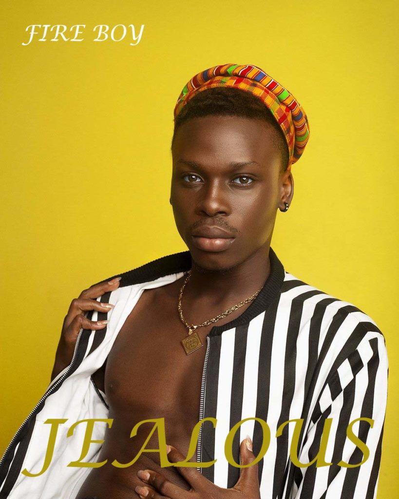 Fireboy net worth