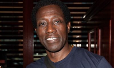 wesley snipes net worth