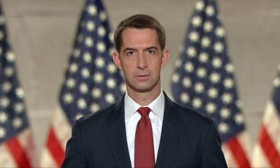 Tom Cotton net worth