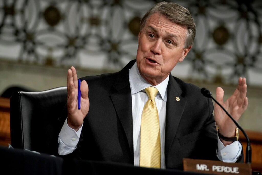 David Perdue net worth