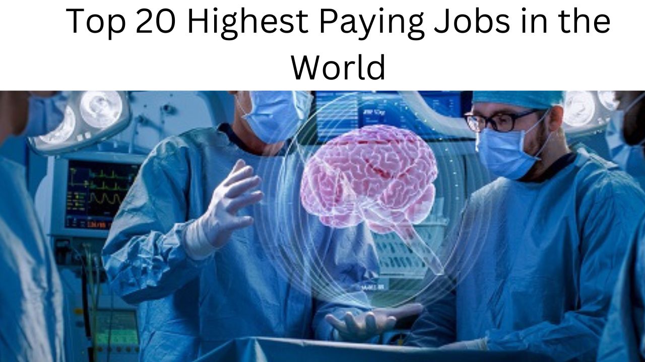 highest paying jobs in the world