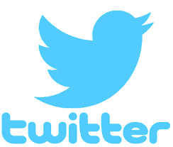 Twitter Net Worth
