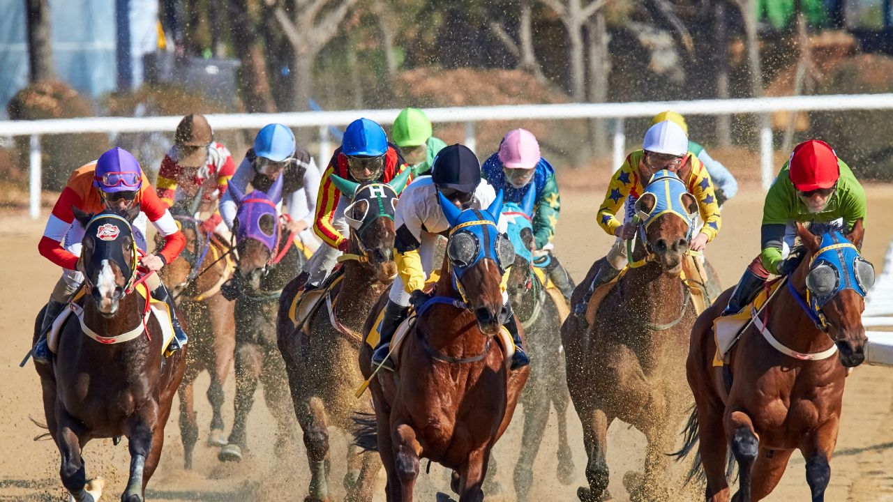 Horse Races