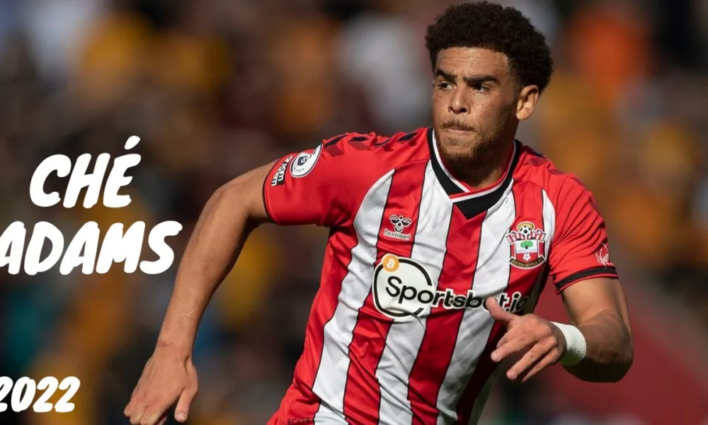 Che Adams Net Worth