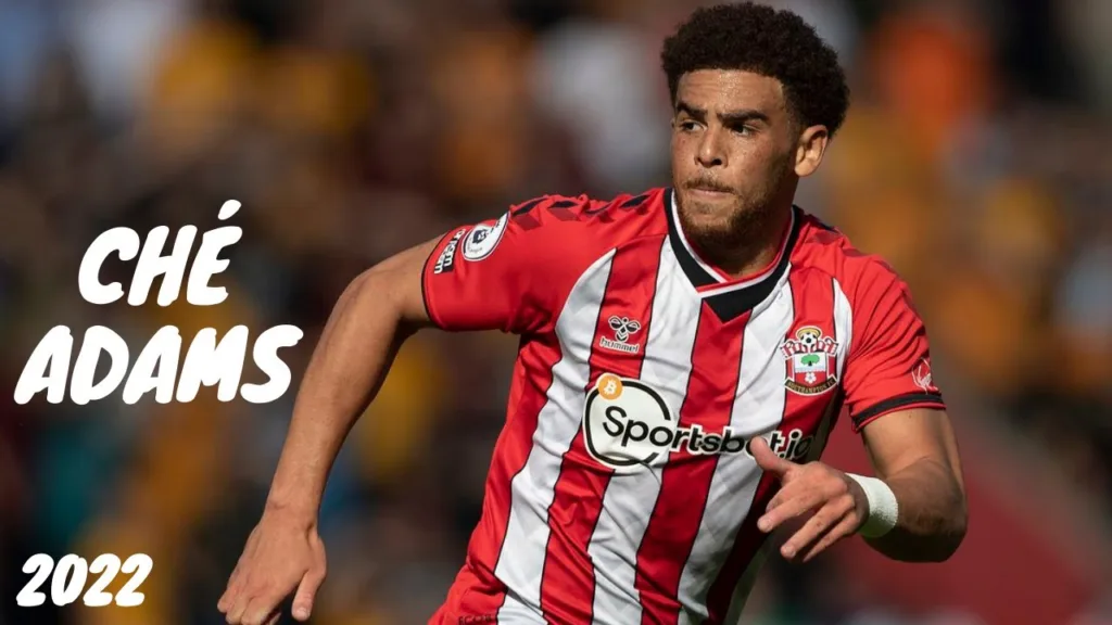 Che Adams Net Worth